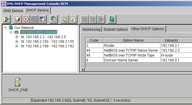 dhcp srvr